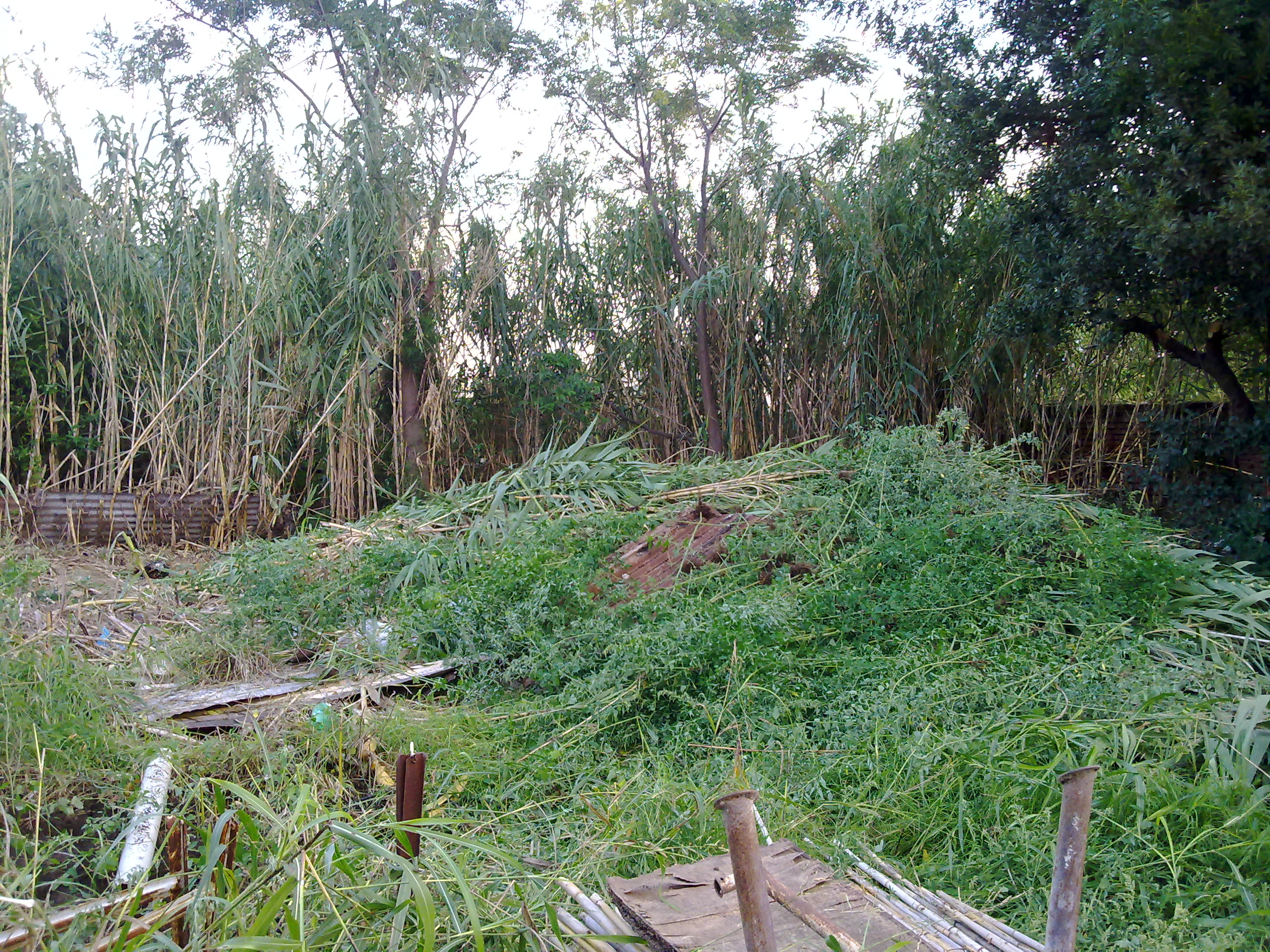 fotos/2012-11-12 - Tereno y cena Osvaldo/10032012202.jpg